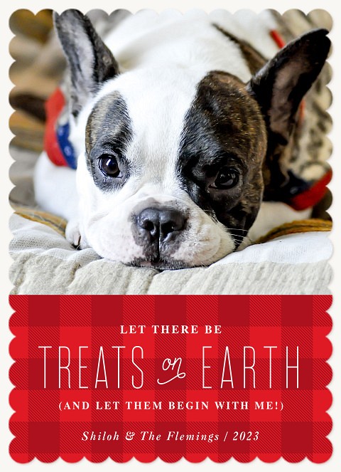 Treats on Earth Dog Christmas Cards