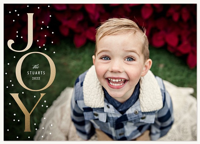 Snowy Joy Personalized Holiday Cards