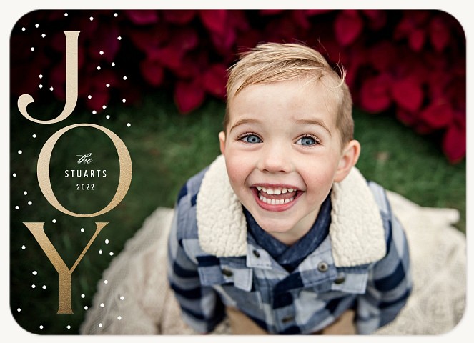 Snowy Joy Personalized Holiday Cards