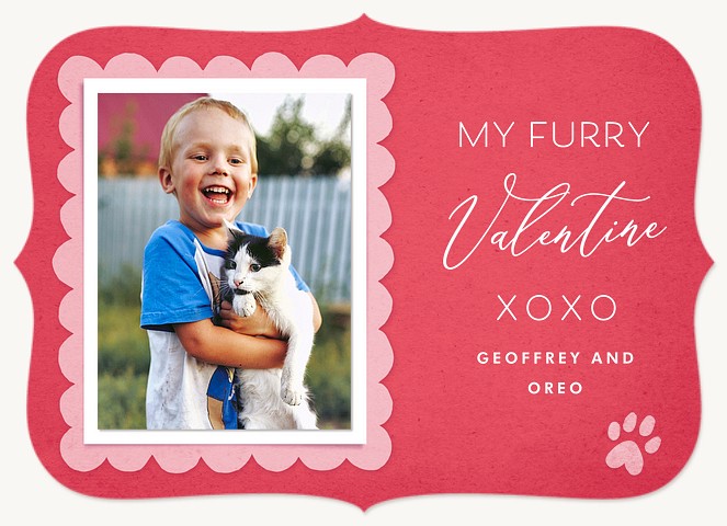 Furry Valentine Valentines Cards