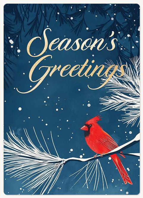 Winter Cardinal Holiday & Christmas Magnet Cards