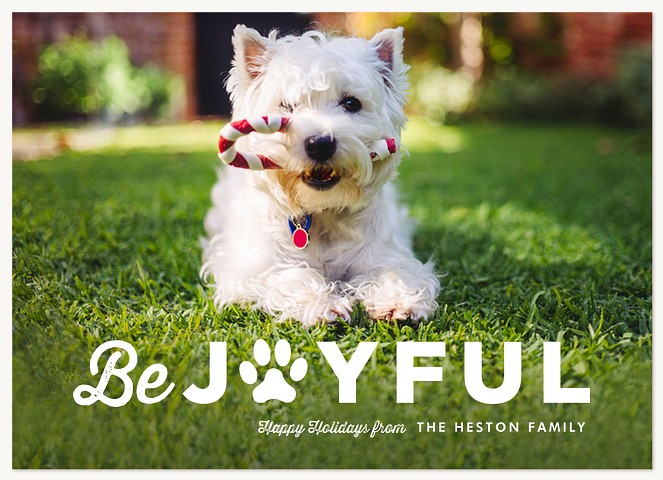 Joyful Paw Dog Christmas Cards