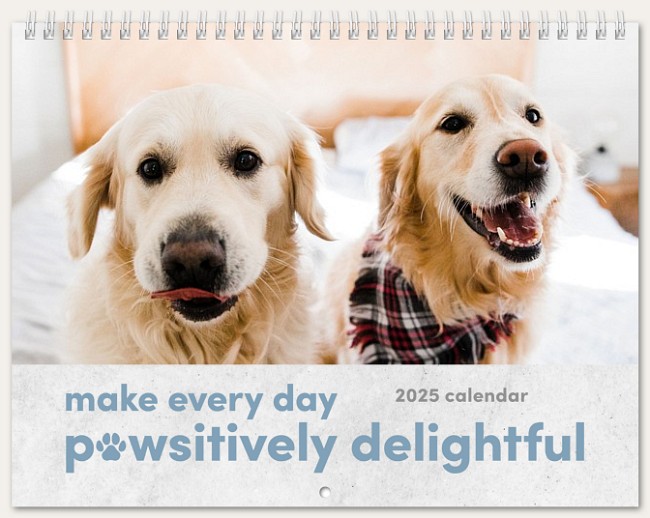 Pawsitively Delightful Calendar Custom Photo Calendars