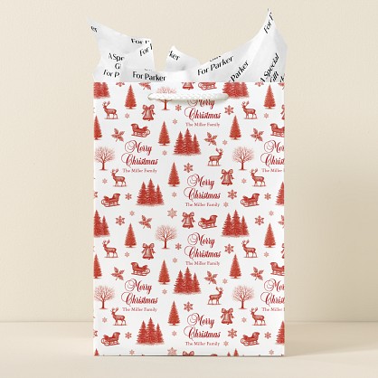 Classic Christmas Gift Bag