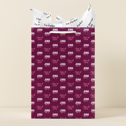 School Colors Gift Bag