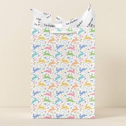 Rainbow Bunny Gift Bag
