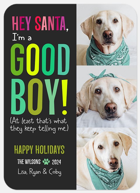 Good Boy Holiday Photo Cards
