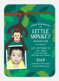Little Monkey