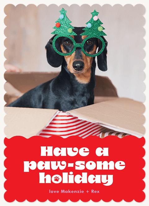Pawsome Holiday Personalized Holiday Cards