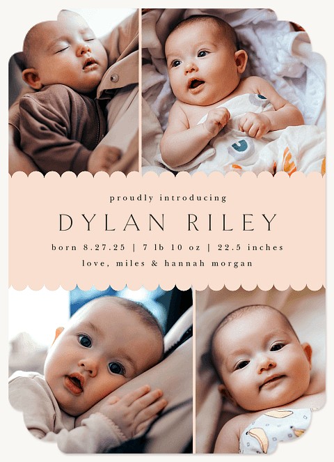 Sweet Scallop Baby Announcements