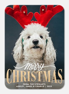 Vintage Greeting