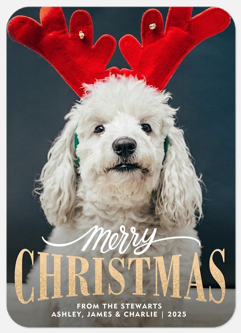 Vintage Greeting From the Pet Holiday Cards