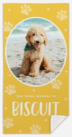 Paw Prints