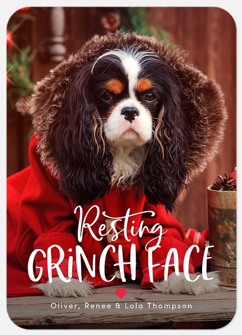 Grinch Face Holiday Photo Cards