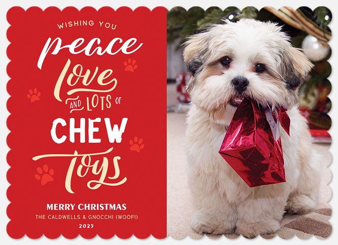 Chew Toys Holiday Photo Cards