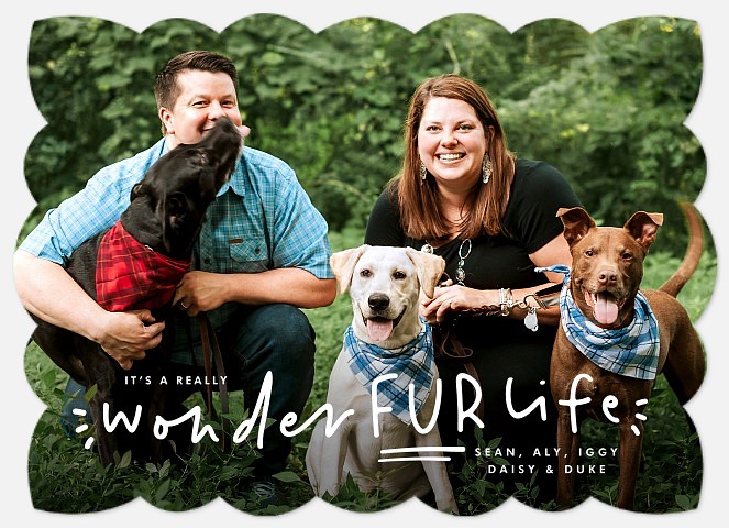Furry Family Holiday Photo Cards