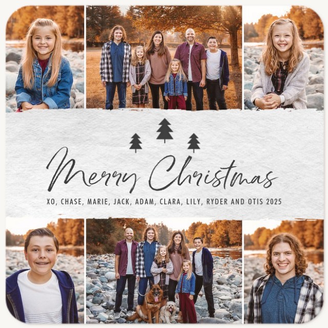Modern Pines Personalized Holiday Cards