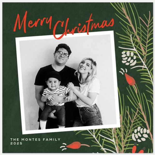 Berry Branches Holiday Photo Cards