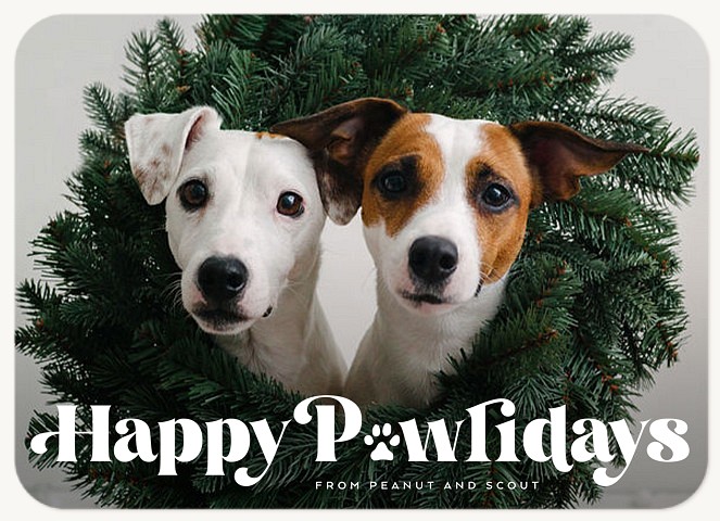 Playful Pawliday Personalized Holiday Cards