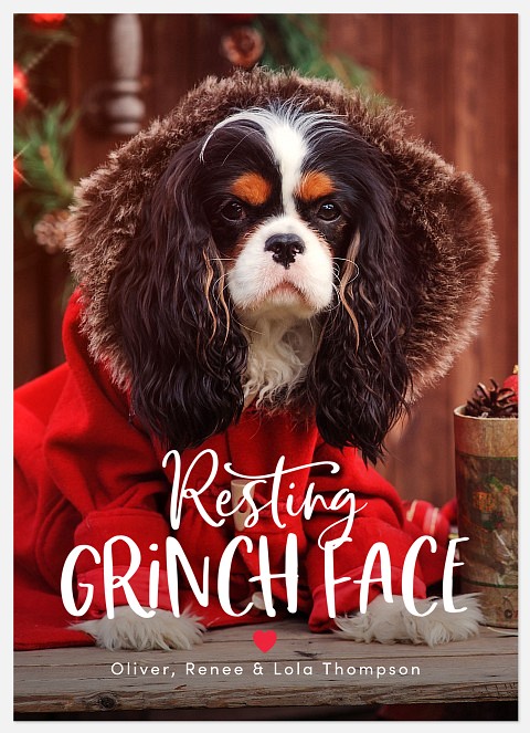 Grinch Face Holiday Photo Cards