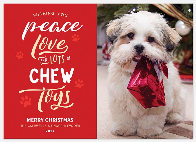 Chew Toys Holiday Photo Cards