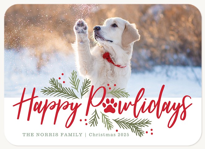 Pawliday Time Christmas Cards
