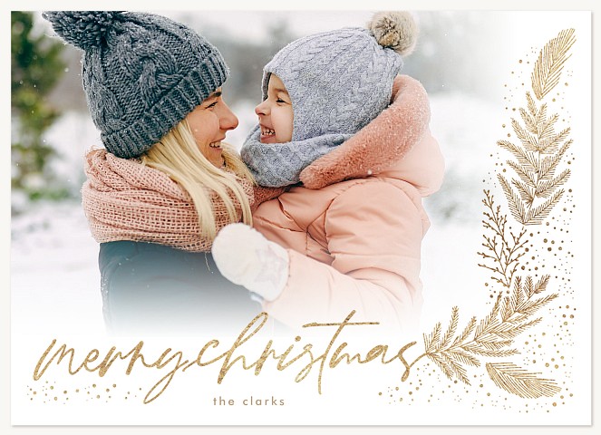 Elegant Frost Personalized Holiday Cards