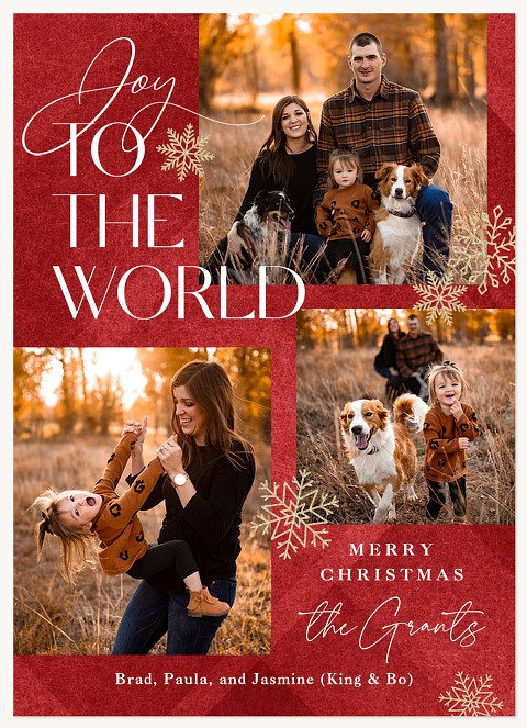 World Of Joy Personalized Holiday Cards