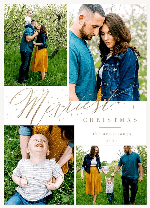 Dusted Shimmer Personalized Holiday Cards