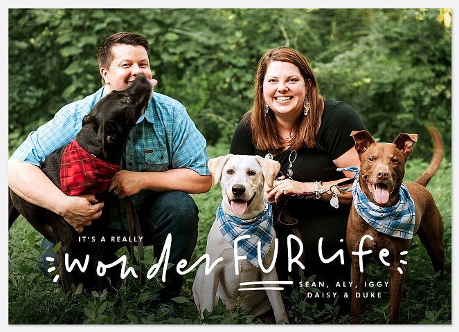 Furry Family Holiday Photo Cards