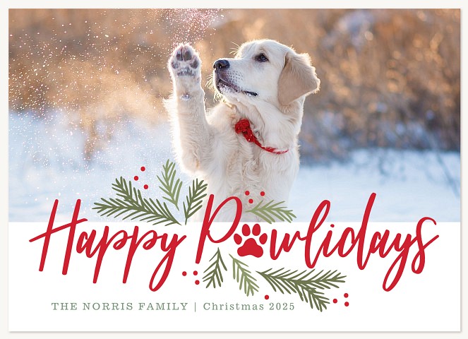 Pawliday Time Christmas Cards