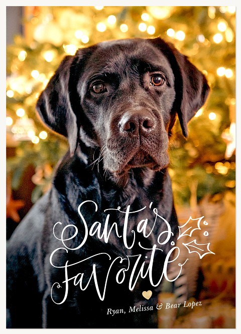 Santa's Favorite Dog Christmas Cards
