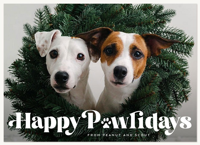 Playful Pawliday Personalized Holiday Cards