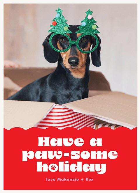 Pawsome Holiday Personalized Holiday Cards