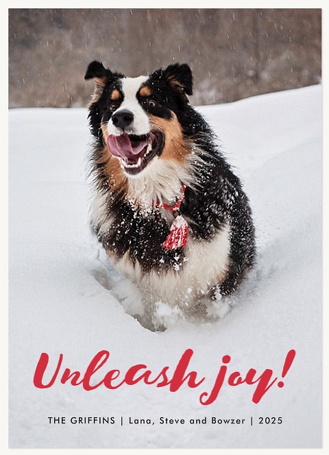 Unleash Joy Dog Christmas Cards