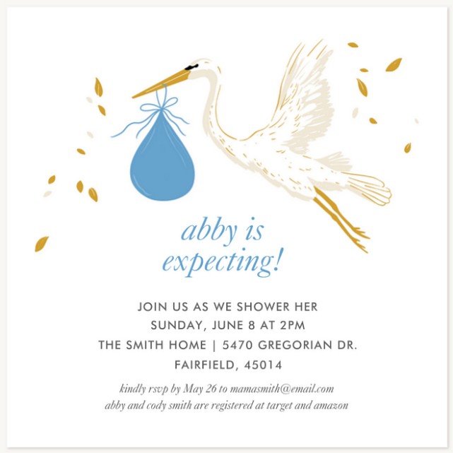Stork Delivery Baby Shower Invites