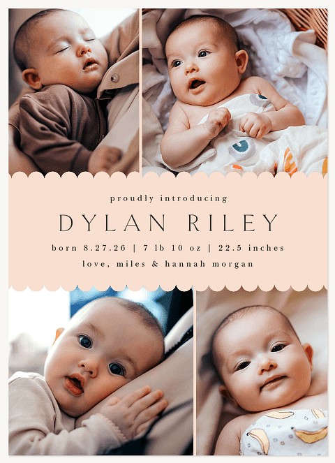 Sweet Scallop Baby Announcements