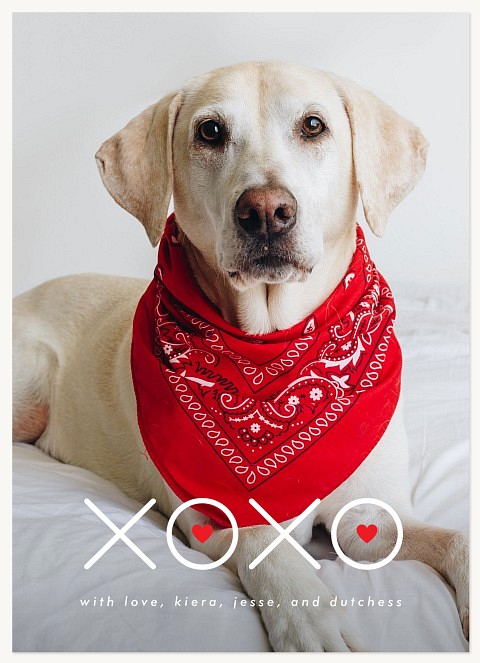 Heart Eyes Valentines Cards