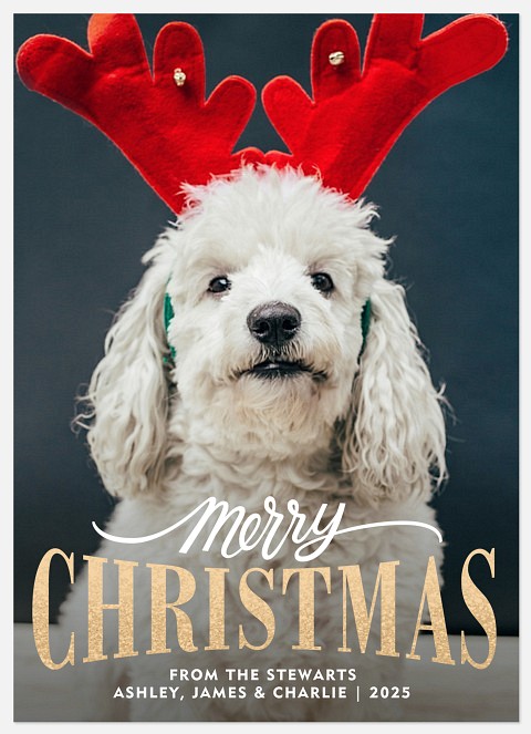 Vintage Greeting Holiday Photo Cards