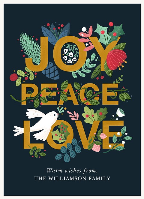 Winter Dove Photo Holiday Cards