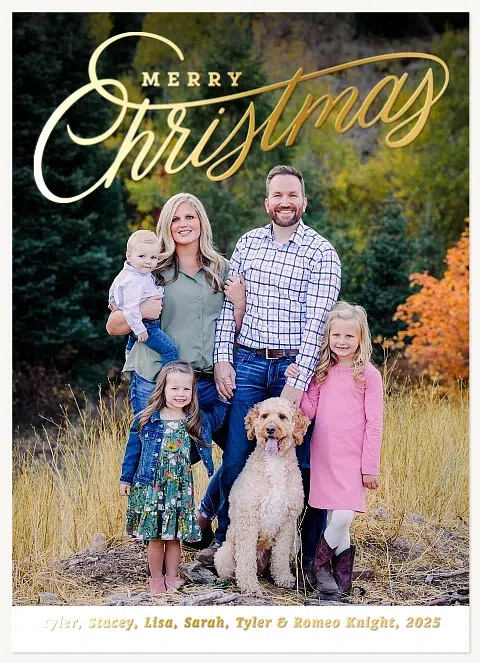 Lettered Ink Personalized Holiday Cards