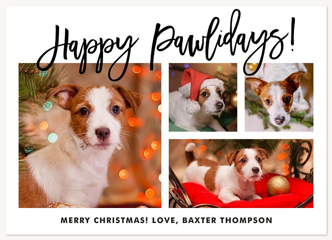 Happy Pawlidays Photo Holiday Cards