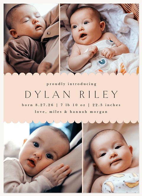 Sweet Scallop Baby Announcements