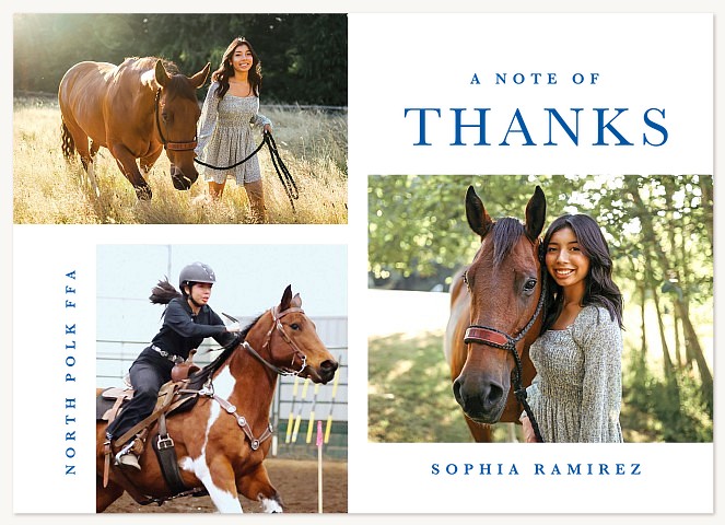 Gratitude Trio Thank You Cards 