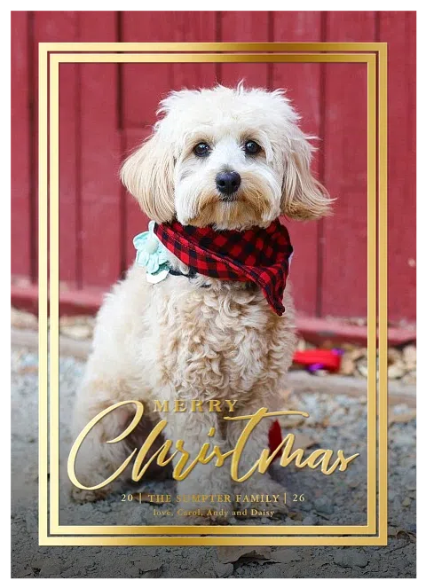 Classic Twist Christmas Cards