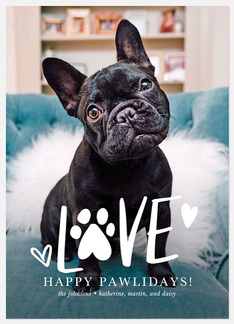 Furever Friend Holiday Photo Cards