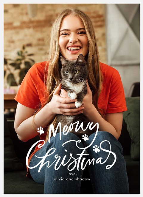 Veowy Meowy Holiday Photo Cards