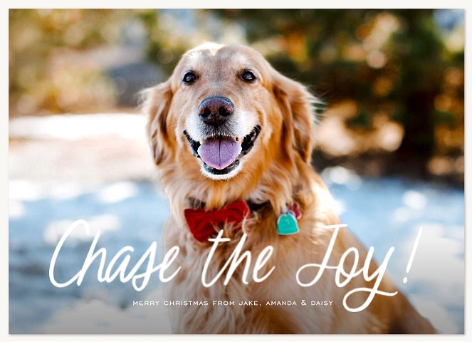 Chasing Joy Personalized Holiday Cards