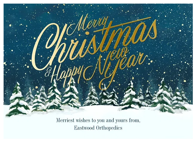 Season of Snow Business Holiday Cards