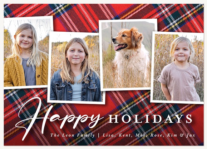 Highland Tidings Photo Holiday Cards